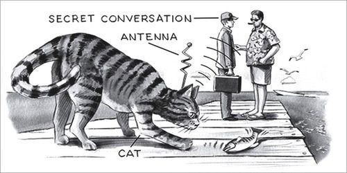 America’s million-dollar cat spy project during the Cold War
