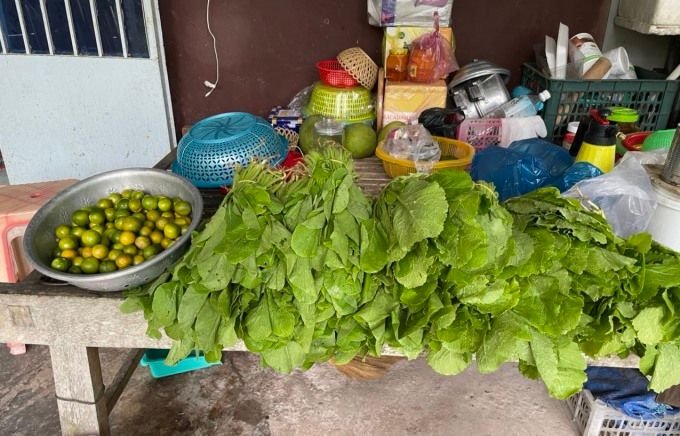Gathering country vegetables and selling them in Ho Chi Minh City for millions of dollars every day