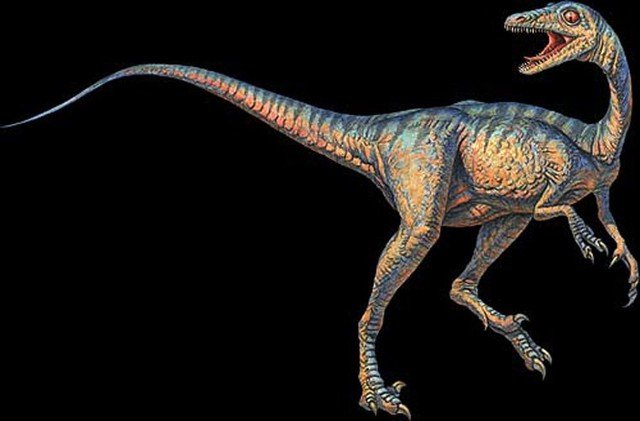 Top 10 most dangerous carnivorous dinosaurs in prehistoric times